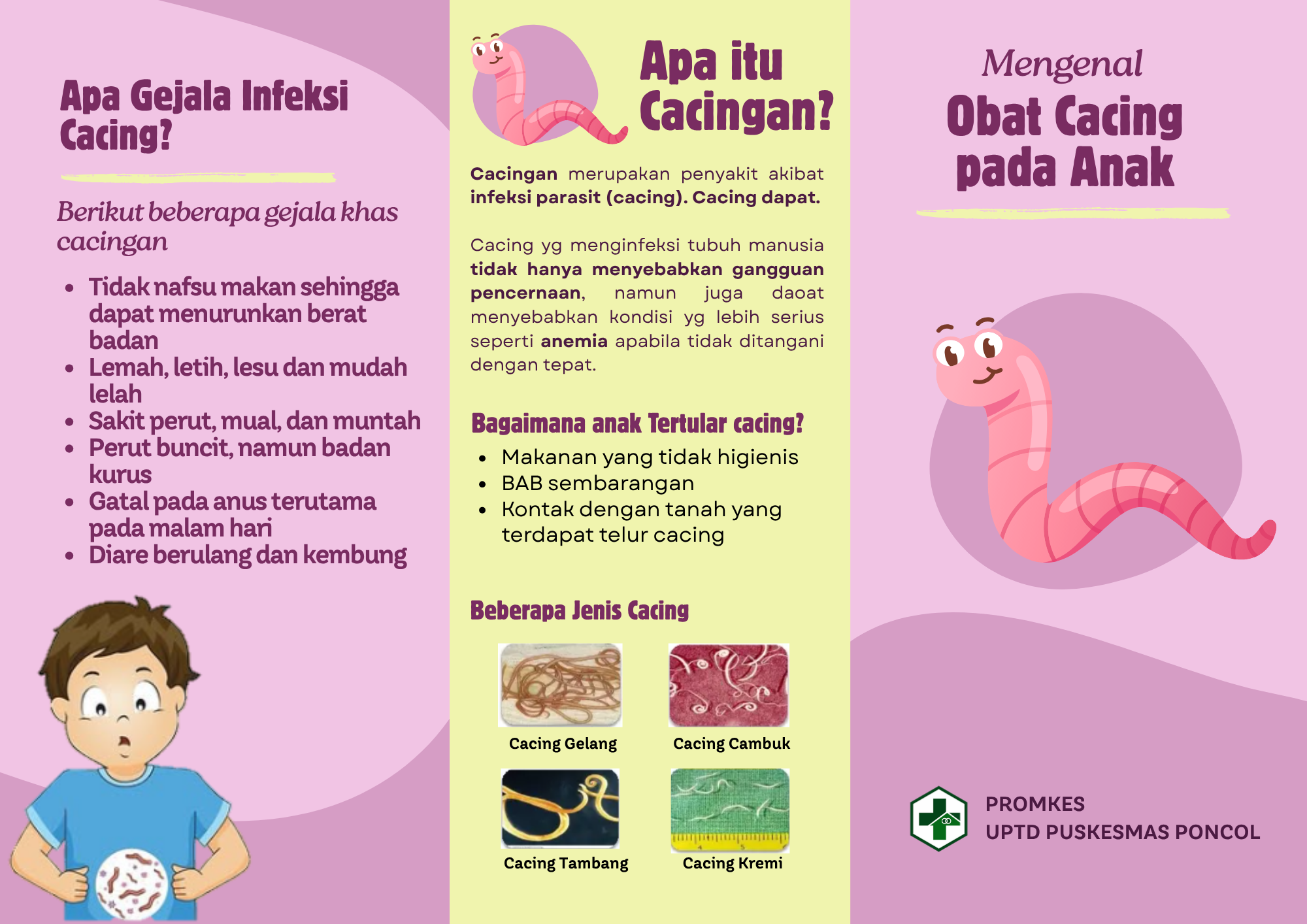 cacing belakang